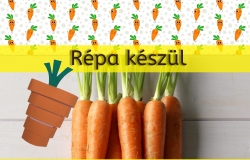 Tervezett foglalkozÃ¡saink - csalÃ¡di bÃ¶lcsÅ‘dÃ©k 2020.10.26-i hÃ©t