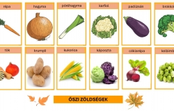 Tervezett programjaink - csalÃ¡di bÃ¶lcsÅ‘dÃ©k - 2024.09.23-i hÃ©t