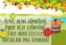 Tervezett programjaink - családi bölcsődék - 2025.09.01-i hét